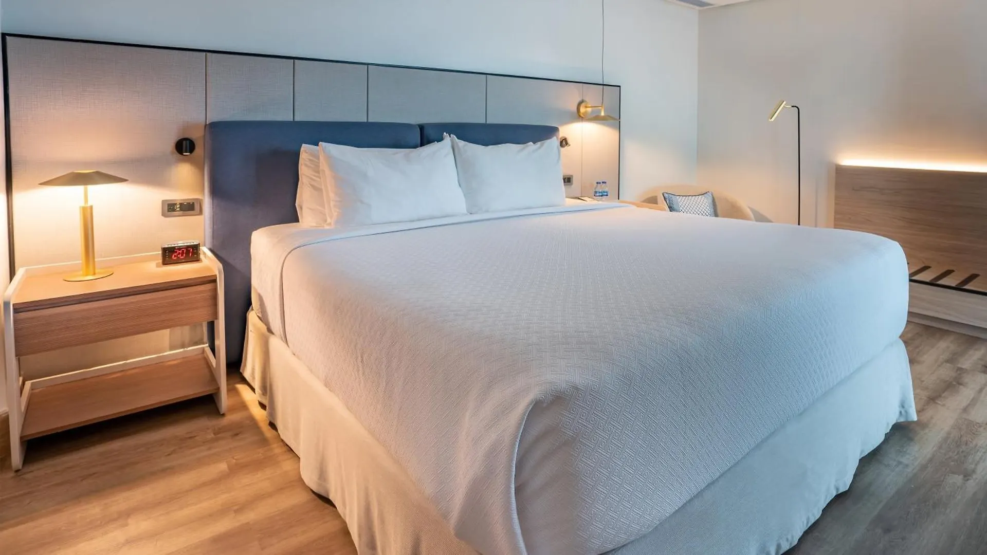 Crowne Plaza Santo Domingo By Ihg Hotel